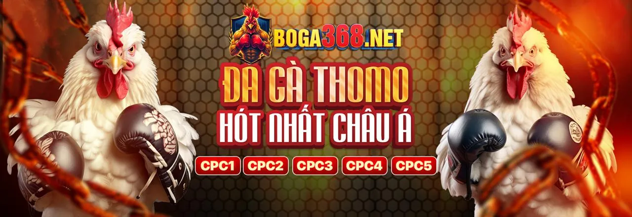 Đá Gà 88 Trực Tiếp Hôm Nay - Trận đấu gà kịch tính